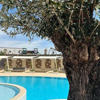 Tenuta Amalthea Vila Sessa Aurunca Exterior foto